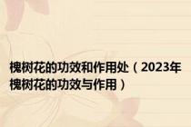 槐树花的功效和作用处（2023年槐树花的功效与作用）