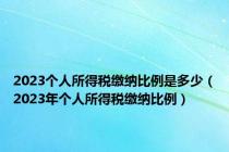 2023个人所得税缴纳比例是多少（2023年个人所得税缴纳比例）