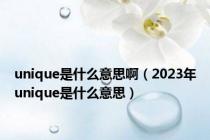 unique是什么意思啊（2023年unique是什么意思）