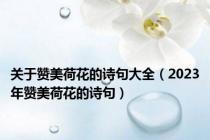 关于赞美荷花的诗句大全（2023年赞美荷花的诗句）