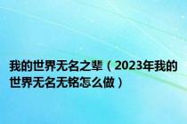 我的世界无名之辈（2023年我的世界无名无铭怎么做）