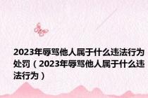 2023年辱骂他人属于什么违法行为处罚（2023年辱骂他人属于什么违法行为）