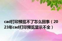 cad打印预览不了怎么回事（2023年cad打印预览显示不全）