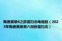 隋唐英雄6之薛雷扫北电视剧（2023年隋唐英雄第六部薛雷扫北）