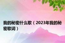 我的秘密什么歌（2023年我的秘密歌词）