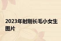 2023年射刚长毛小女生图片