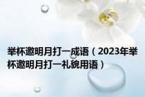 举杯邀明月打一成语（2023年举杯邀明月打一礼貌用语）