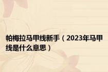 帕梅拉马甲线新手（2023年马甲线是什么意思）