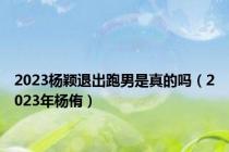 2023杨颖退出跑男是真的吗（2023年杨侑）