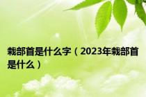 栽部首是什么字（2023年栽部首是什么）
