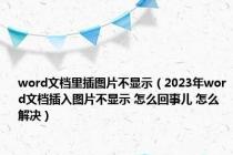 word文档里插图片不显示（2023年word文档插入图片不显示 怎么回事儿 怎么解决）