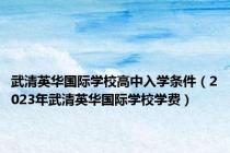 武清英华国际学校高中入学条件（2023年武清英华国际学校学费）