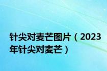 针尖对麦芒图片（2023年针尖对麦芒）