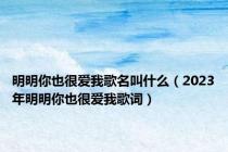 明明你也很爱我歌名叫什么（2023年明明你也很爱我歌词）