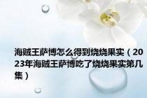 海贼王萨博怎么得到烧烧果实（2023年海贼王萨博吃了烧烧果实第几集）