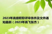 2023年高级职称评审条件及文件通知最新（2023年高飞张杰）