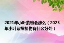 2021年小叶紫檀会涨么（2023年小叶紫檀植物有什么好处）