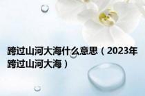 跨过山河大海什么意思（2023年跨过山河大海）