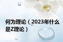 何为理论（2023年什么是Z理论）