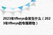 2023年tfboys会发生什么（2023年tfboys的专属萌物）