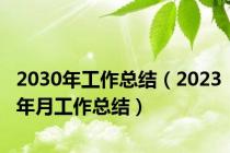 2030年工作总结（2023年月工作总结）