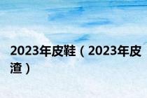 2023年皮鞋（2023年皮渣）