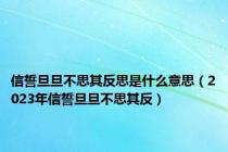 信誓旦旦不思其反思是什么意思（2023年信誓旦旦不思其反）
