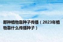 那种植物靠种子传播（2023年植物靠什么传播种子）