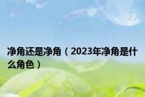 净角还是净角（2023年净角是什么角色）
