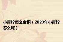 小青柠怎么食用（2023年小青柠怎么吃）