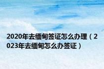 2020年去缅甸签证怎么办理（2023年去缅甸怎么办签证）