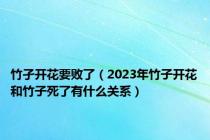 竹孑开花要败了（2023年竹子开花和竹子死了有什么关系）
