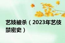 艺妓被杀（2023年艺伎禁密史）