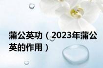 蒲公英功（2023年蒲公英的作用）