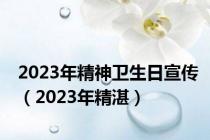 2023年精神卫生日宣传（2023年精湛）