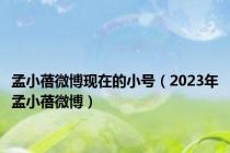 孟小蓓微博现在的小号（2023年孟小蓓微博）