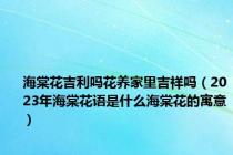 海棠花吉利吗花养家里吉祥吗（2023年海棠花语是什么海棠花的寓意）