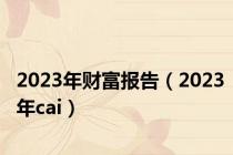 2023年财富报告（2023年cai）