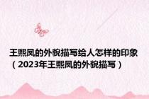 王熙凤的外貌描写给人怎样的印象（2023年王熙凤的外貌描写）