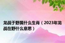 龙战于野属什么生肖（2023年龙战在野什么意思）