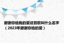 谢谢你给我的爱这首歌叫什么名字（2023年谢谢你给的爱）