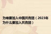 为啥要加入中国共青团（2023年为什么要加入共青团）