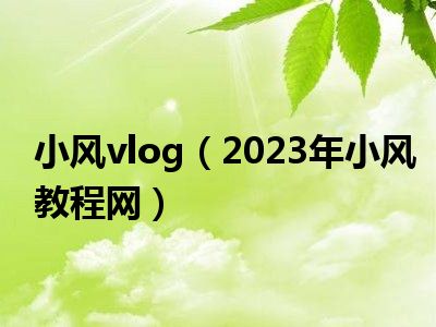 小风vlog（2023年小风教程网）