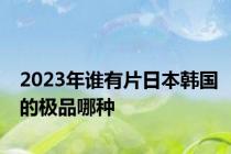 2023年谁有片日本韩国的极品哪种