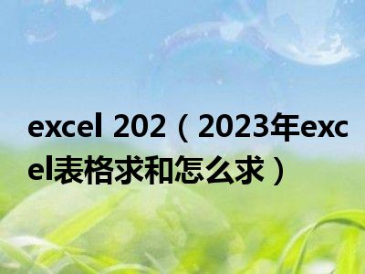 excel 202（2023年excel表格求和怎么求）