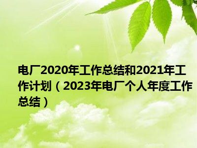 电厂2020年工作总结和2021年工作计划（2023年电厂个人年度工作总结）