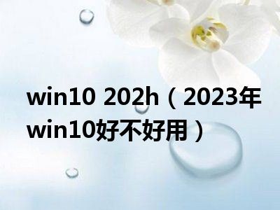 win10 202h（2023年win10好不好用）