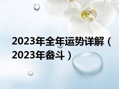 2023年全年运势详解（2023年畚斗）