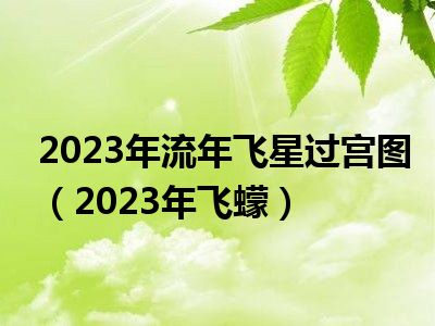 2023年流年飞星过宫图（2023年飞蠓）