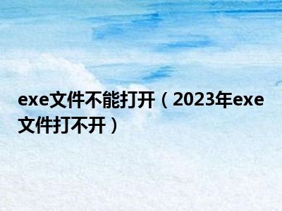 exe文件不能打开（2023年exe文件打不开）